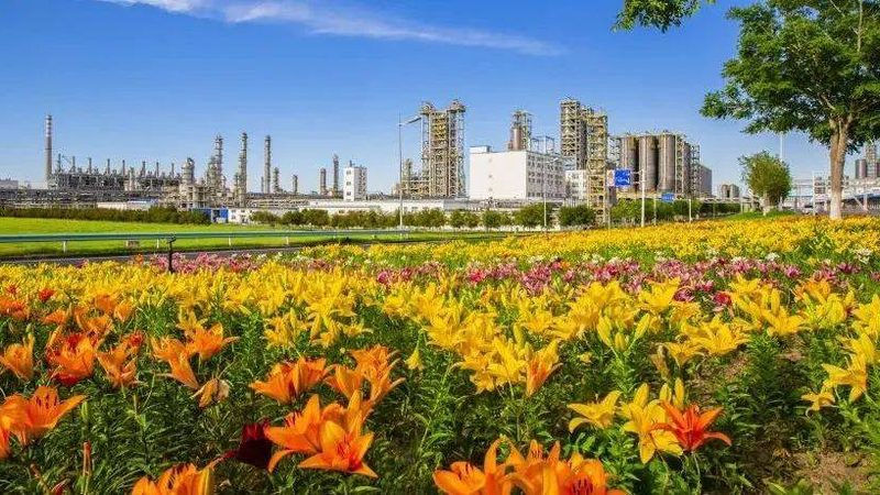 建筑助剂加盟代理，如何规避潜在风险？**