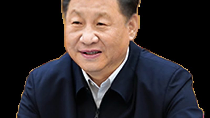 塑料助剂批发市场：揭秘报价背后的秘密**
